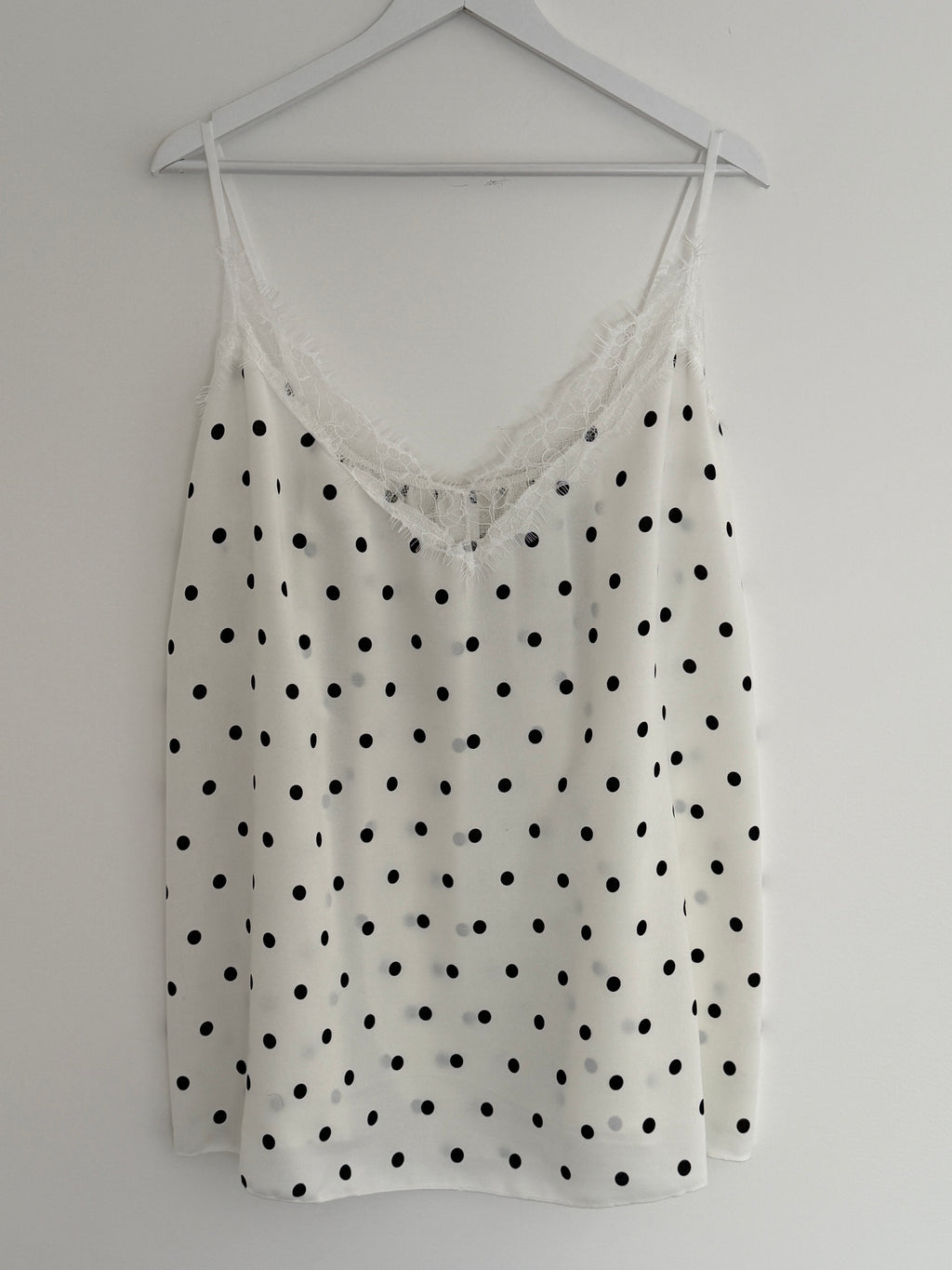 TOP | DOTTY